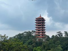 -缙云山景区