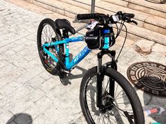 -道路口单车爱瓦士dahon大行