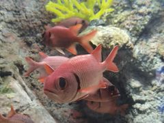 -太平洋海底世界