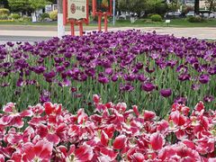 -玄武湖景区-情侣园游乐场