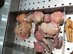 扇贝-绿岛港轩海鲜烤肉涮锅自助餐厅
