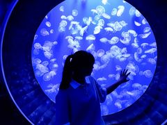 -成都浩海立方海洋公园