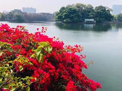 -东山湖公园