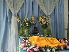 -彩虹桥宠物火化殡葬善终服务(金乐大厦店)