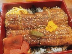 自制活鳗鱼盖饭-鳗鱼家·深夜食堂(军博店)