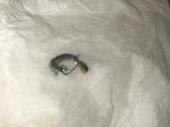 -蔡先生(双阳路店)