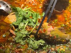 -院8里·小聚园老川菜(九眼桥店)