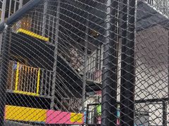 -超时空蹦床团建·VR潮玩运动娱乐·生日派对游乐园(金桥店)