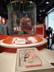 -北京科学中心儿童乐园