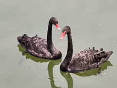 -龙吟山房(青龙山庄店)