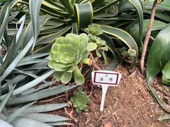 -郑州植物园