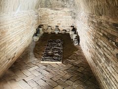 -洛阳古墓博物馆