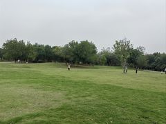 -盘龙城国家考古遗址公园