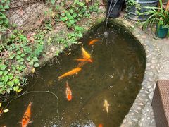 -厦门市思明区第柒天旅馆