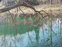 -阿哈湖国家湿地公园