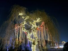-泉城欧乐堡梦幻世界