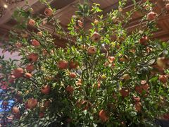 -八府香鸭·啫啫煲(华山路店)