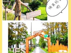 -前小桔亲子创意农场·草莓采摘·露营烧烤