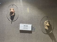 -巴音郭楞蒙古自治州博物馆