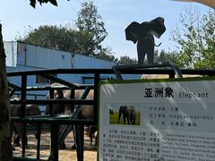 -秦皇岛野生动物园