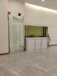 -FUMEIHUI·科技美肤·美体SPA