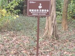 -深圳湾公园(南山区)