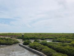 -北海金海湾红树林生态旅游区