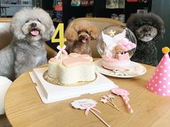 -Oh My Dog宠物沙龙(伊珊娜皮毛护理店)