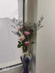 -翎兰瑜伽·普拉提