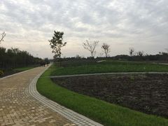 -同里国家湿地公园