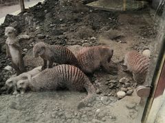 -国色天乡三期陆地乐园