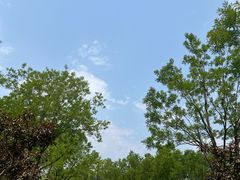 -东郊湿地公园