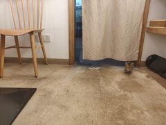 -正南齐北·老街糯米团(洪崖洞店)