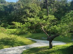 -云溪植物园