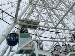 -秦皇岛乐岛海洋王国