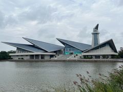 -盐城丹顶鹤湿地生态旅游区
