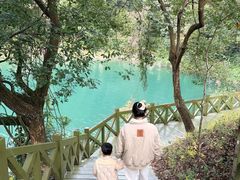 -广州市流溪河国家森林公园
