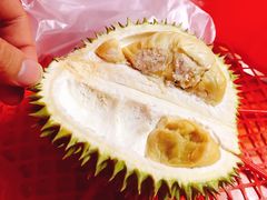 金凤榴莲-空军山芭榴莲