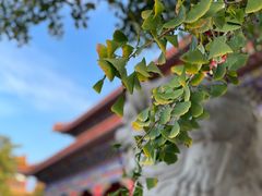 -蓬莱阁景区