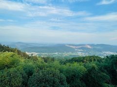 -冶父山国家森林公园