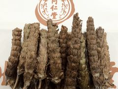-同仁堂(沙坪坝店)