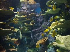 -福州罗源湾海洋世界旅游区