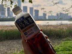 -华侨城湿地公园