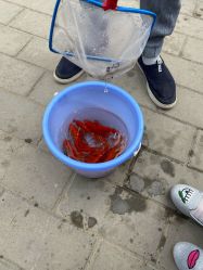 -大望京儿童游乐场