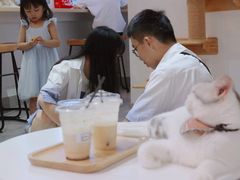 -Heymao猫咖.咖啡厅(东门店)