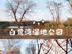 -白鹭湾湿地公园
