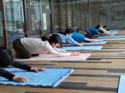 -心俞普拉提运动