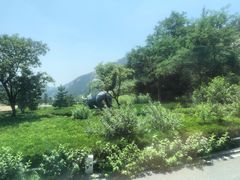 -崂山巨峰游览区