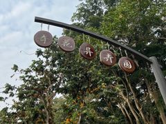 -中国科学院西双版纳热带植物园