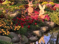 -共青国家森林公园-售票处